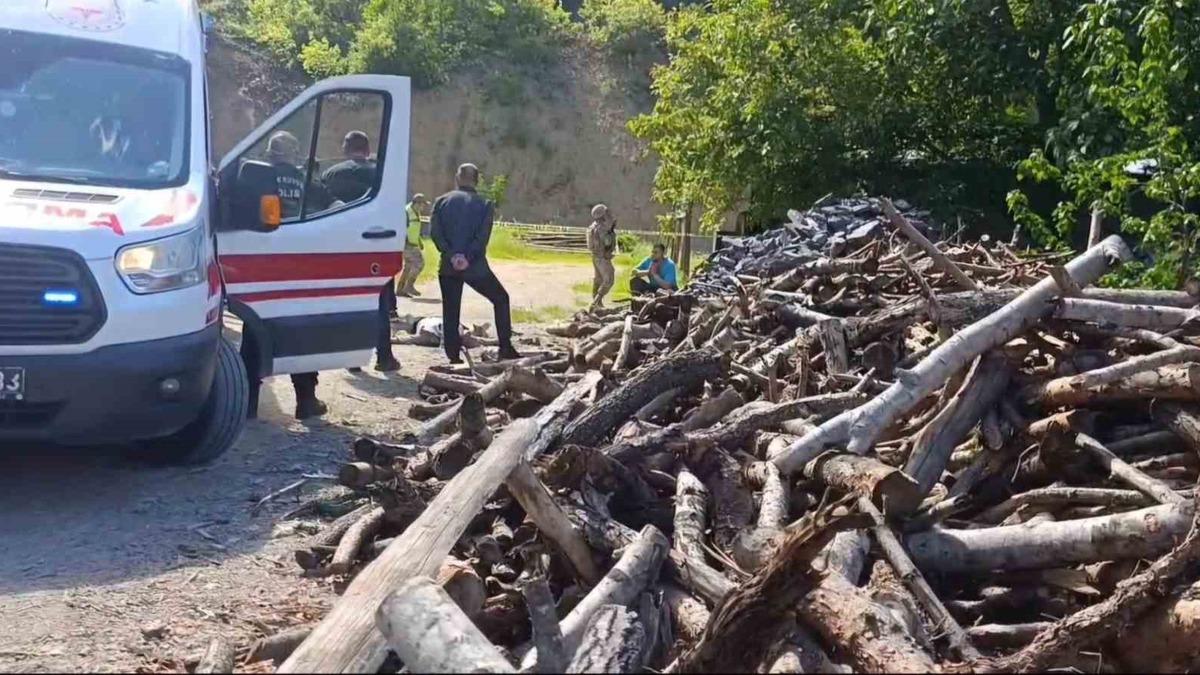Gümüşhane'de Cani Eşini Odunla Öldürdü: Kaçtı