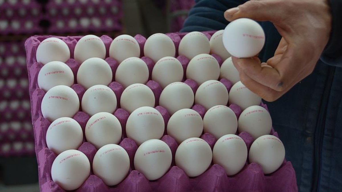 İtalya'ya Yumurtada İhracat Yüzde 1024 Arttı: Türkiye Fırsatı Değerlendirdi