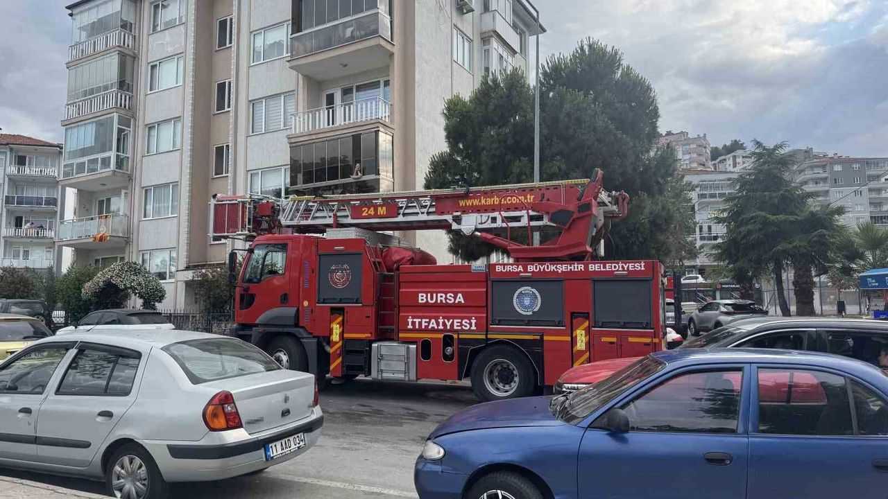 Karga Kurtarma Anında Diğer Kargalardan Saldırgan Davranışlar: İlginç Anlar Yaşandı