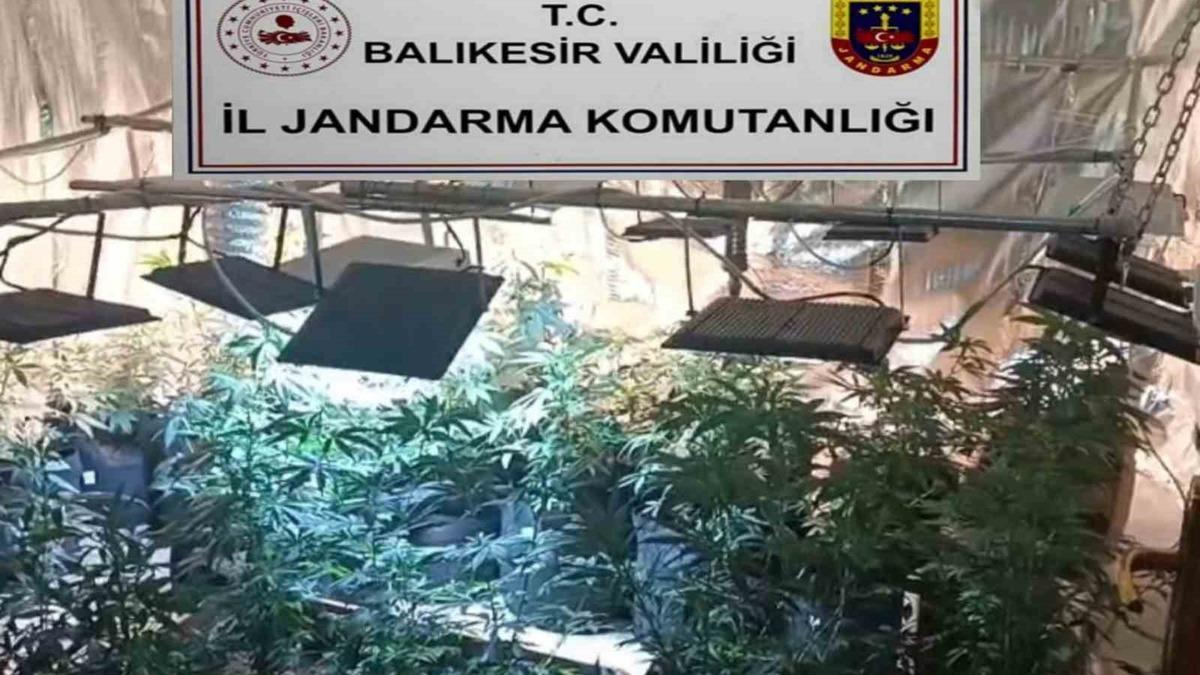 Balıkesir'de Uyuşturucu Operasyonu: 12 Şüpheli Yakalandı