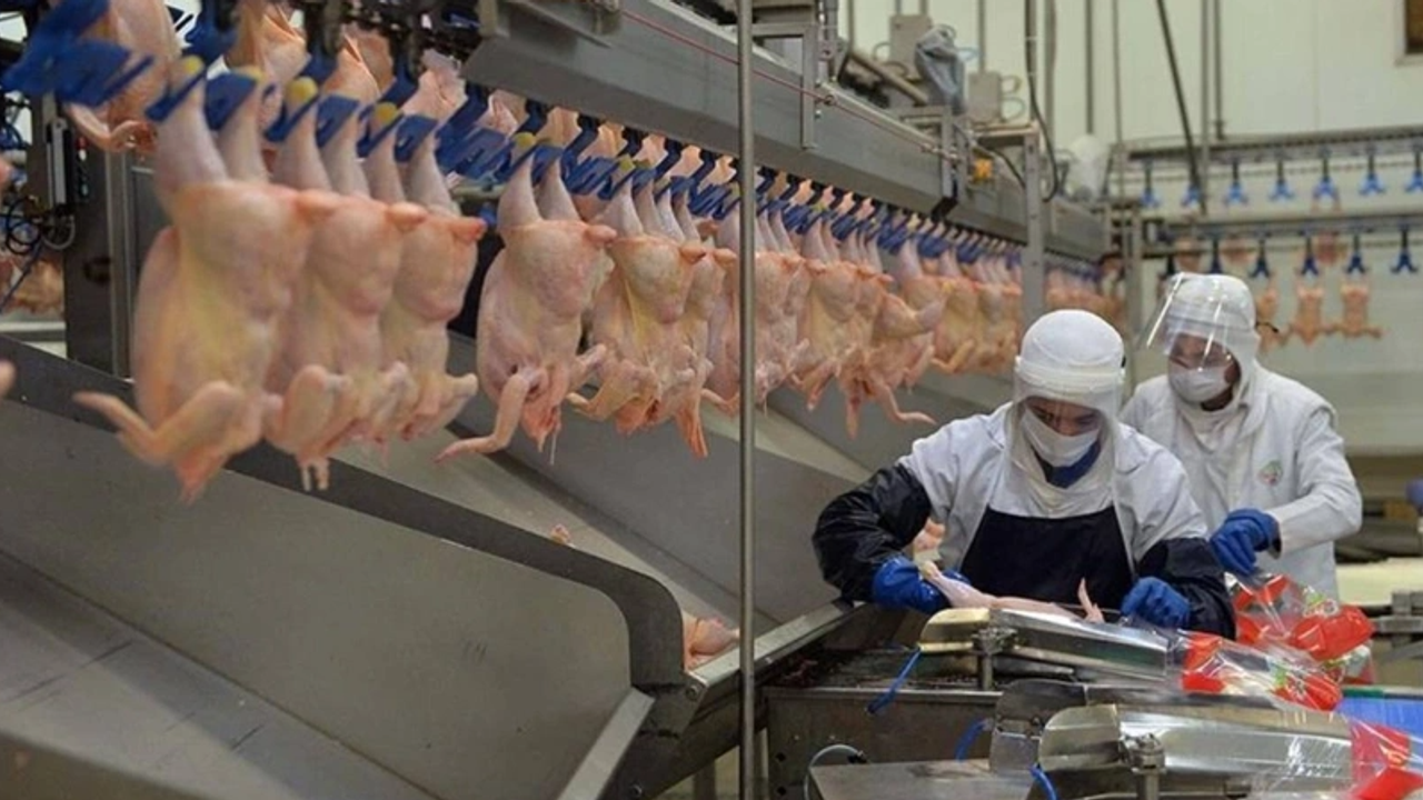 Beyaz Et Fiyatlarına Denetim: Marketlere 10 Milyon 114 Bin TL Ceza Uygulandı