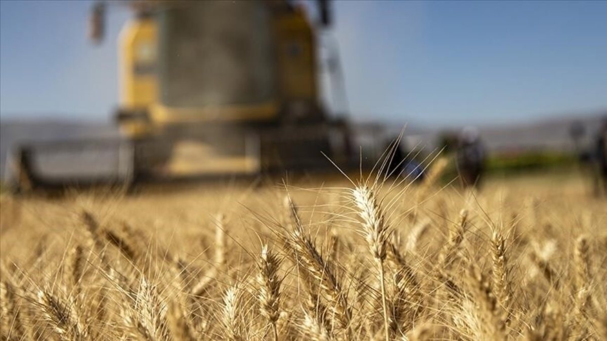Tarımsal Girdi Fiyat Endeksi Yüzde 5,61 Arttı: Geçen Yıla Göre Yüzde 38,97'lik Yükseliş