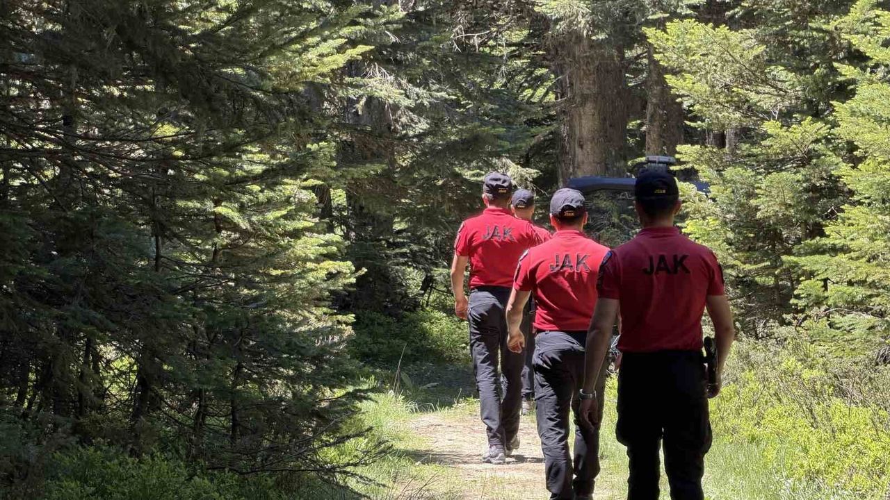 Bursa'da ormanlara girişler yasaklandı