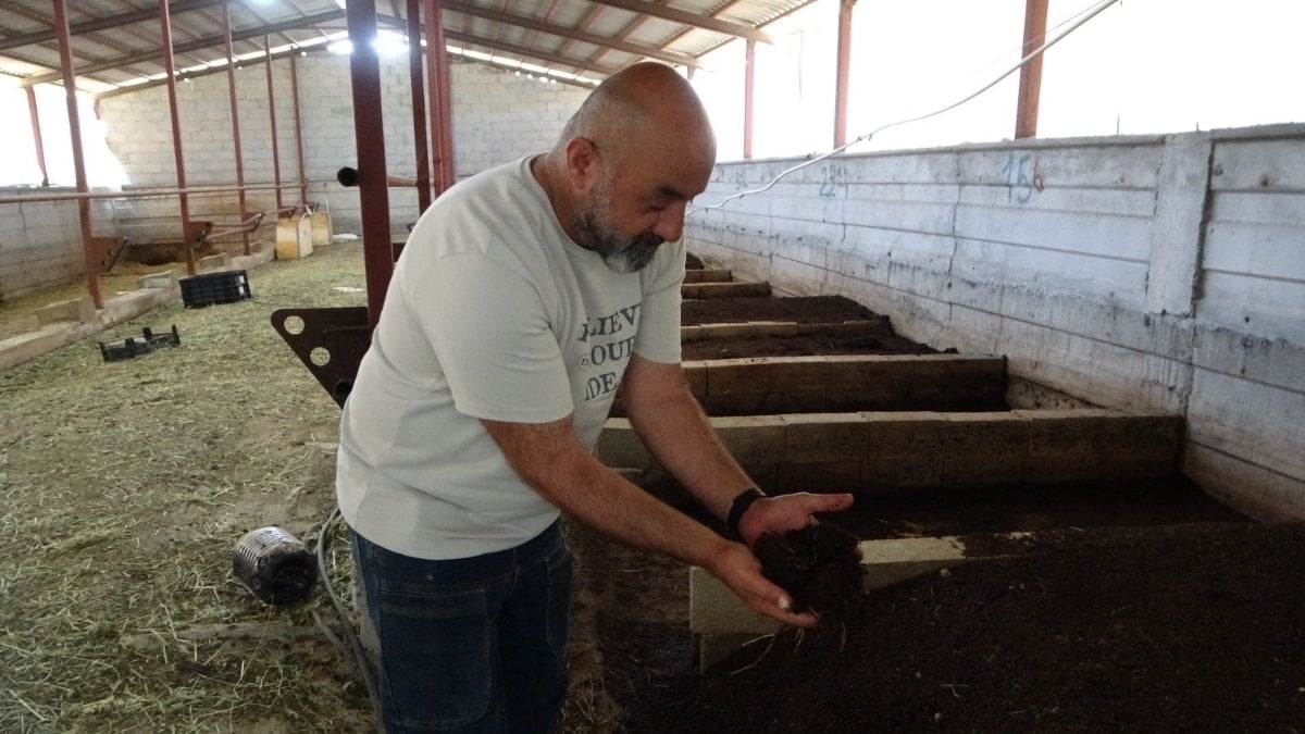 Malatya’da bahçesini üretim merkezine çevirdi: Solucan gübresiyle ek gelir elde ediyor
